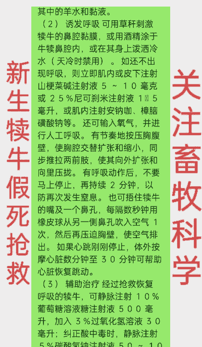 养牛养羊患上病怎么办啊