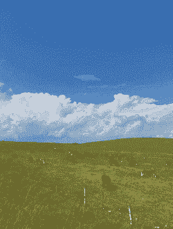 云南养牛养羊场有哪些地方