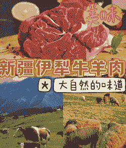 伊犁养羊还是养牛好一点