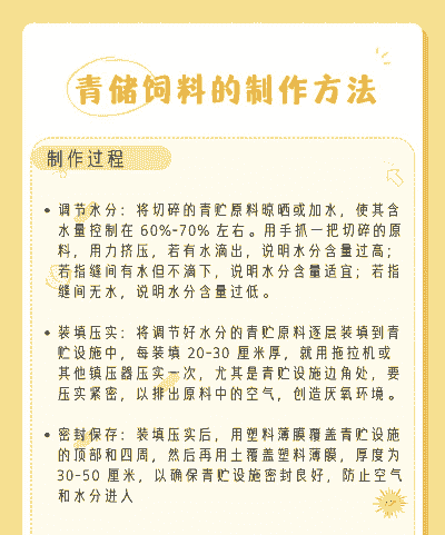 养牛养羊青贮饲料怎么做