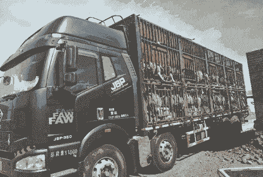 养牛养羊买啥车好一点