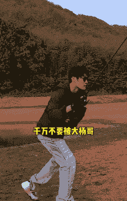 养牛养羊的杨哥叫什么名字