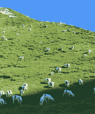 山坡上养羊养牛好不好呀