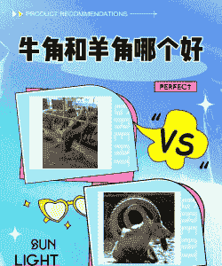 养牛好还是养羊更好一些