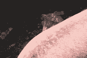 母猪产后猪背有出血点