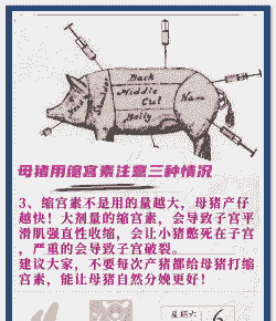 产后母猪打缩宫素的作用