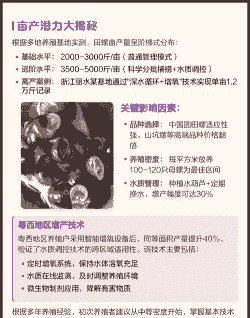 养一亩田螺有多少利润