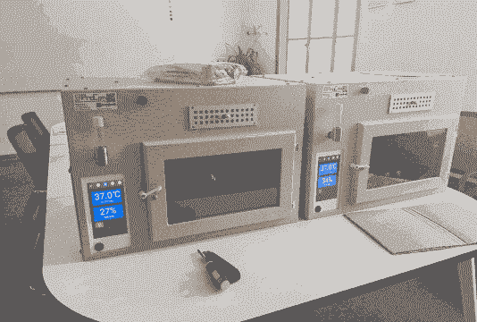 孵化器多少钱一台