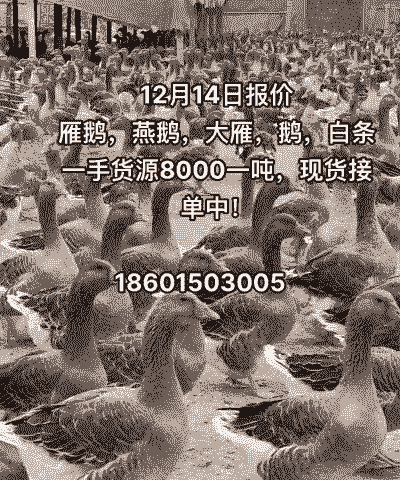 大雁多少钱一斤