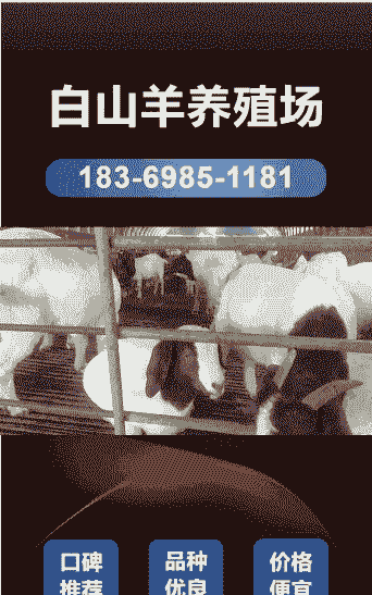 小尾寒羊多少钱一只