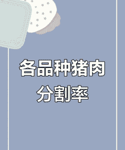 猪出肉率是多少