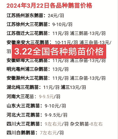 白鹅苗多少钱一只