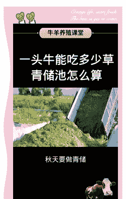 一头牛一天吃多少草