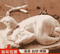 上海土鸡多少钱一斤