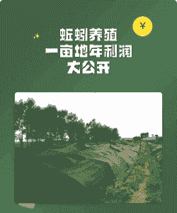 养殖蚯蚓一亩利润多少