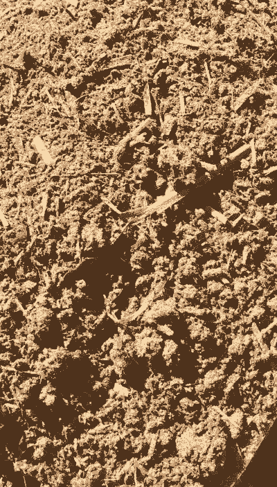 一头牛一年产多少牛粪