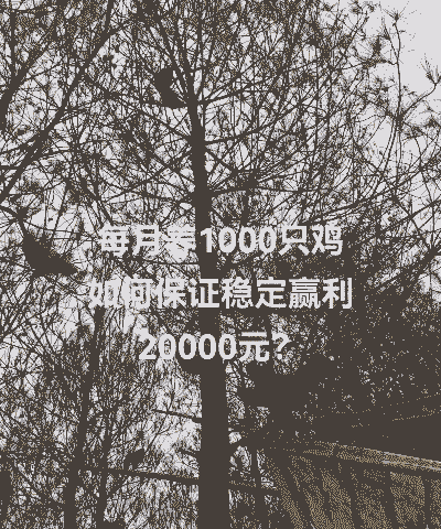 5000只鸡的投资多少钱