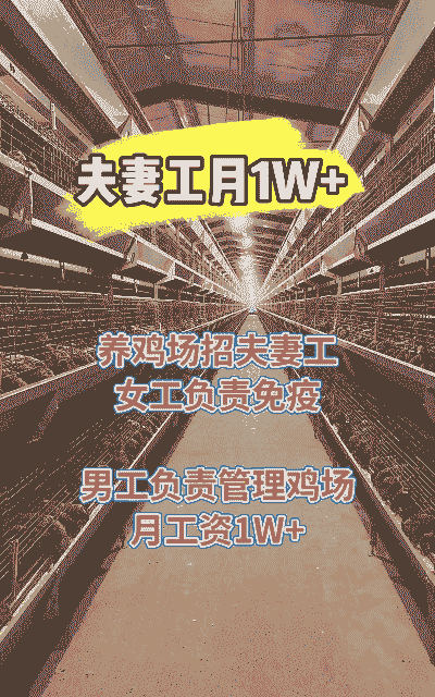 投资一个鸡场多少钱