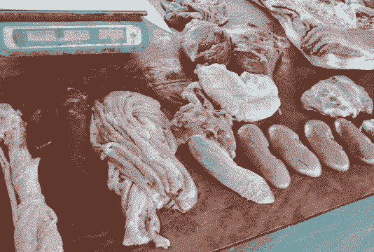 300斤的猪有多少斤血