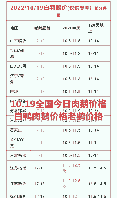 老鹅价格多少一斤