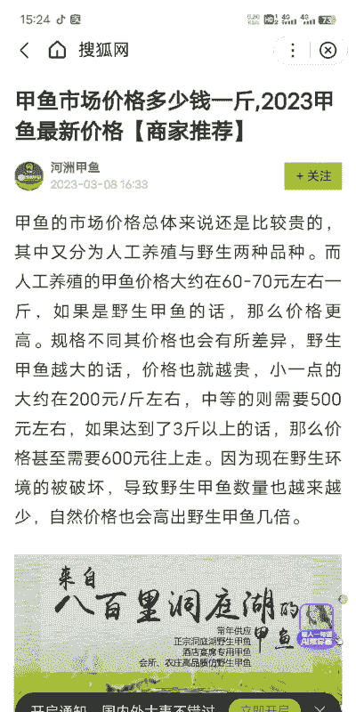 甲鱼多少钱一斤2017