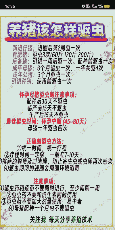 小猪多少天可以打虫