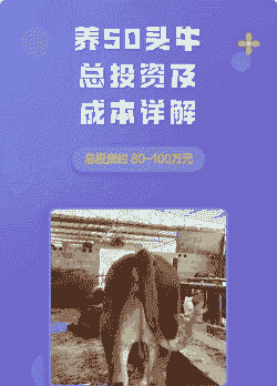 养50头牛需要多少资金
