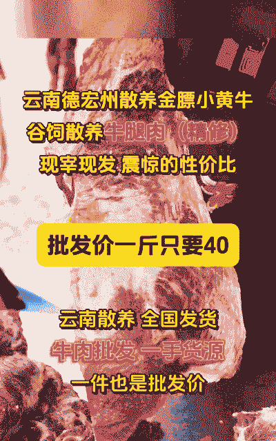 小肉牛犊的价格多少钱