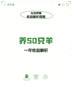养50只羊的成本是多少