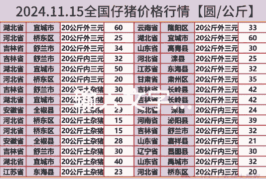 仔猪价格是多少