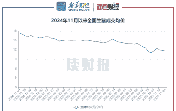 11月的猪价行情是多少