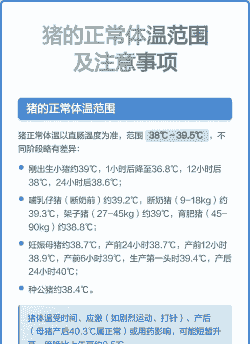 猪体温多少正常