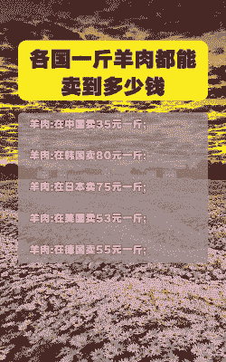 羊肉多少钱一斤2016