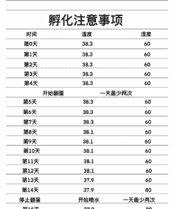 孵小鸡温度是多少