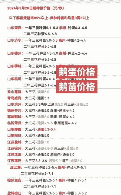 一枚鹅蛋多少钱