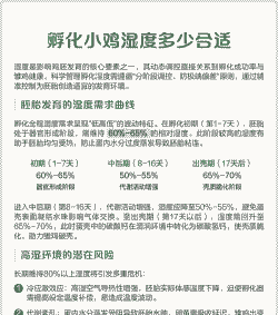 孵化小鸡的湿度是多少