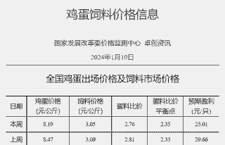 蛋鸡养多少天下蛋