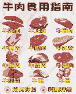 一头肉牛出多少肉