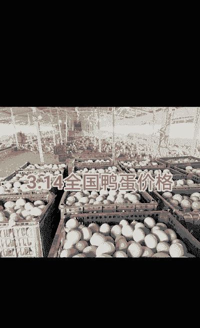 一只蛋鸭年产蛋多少