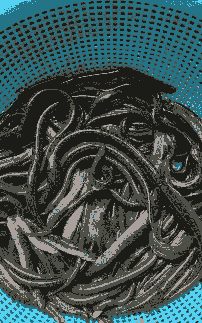 2016泥鳅多少钱一斤