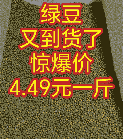 绿豆多少钱一斤2016