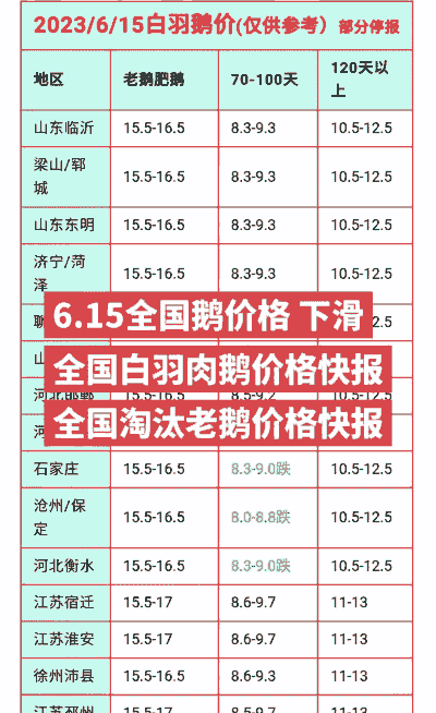 吉林大鹅多少钱一斤