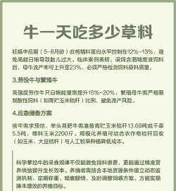 牛一天吃多少精饲料