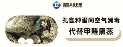 孔雀种蛋多少钱一个