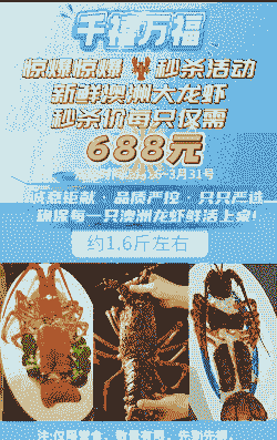 澳州大龙虾多少钱一斤