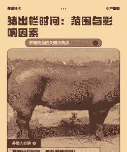 猪多少时间出栏