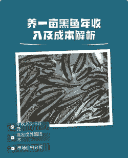 养殖乌鱼需要多少钱