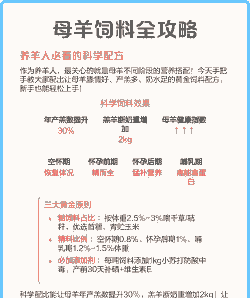 母羊一天吃多少饲料