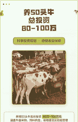 养牛50头需要多少钱