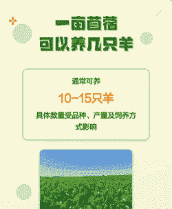 一亩草场能养多少羊